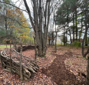 neatly stacked limbs and twigs form a short wall in a wooded area. 