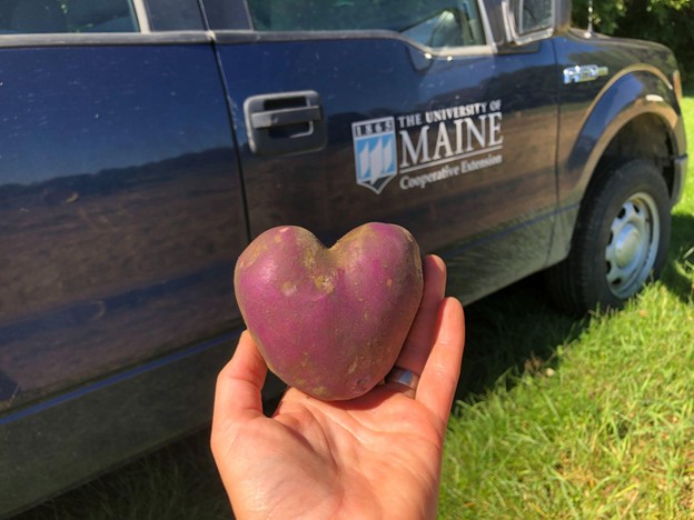 featured image for Maine Home Garden News – September