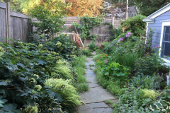 This small courtyard garden, designed by a Master Gardener Volunteer, demonstrates that using a variety of shapes, textures, and shades of green makes a big impact, even in a small area.