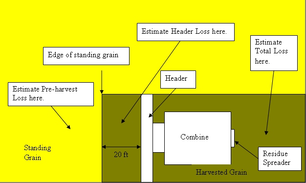 combine efficiency diagram showing standing grain in front of the combine (estimate pre-harvest loss here, arrow showing 20 ft in the direct front of the combine, arrow showing edge of standing grain (of the 20 ft span) an arrow pointing out where you will estimate header loss(in the 20 ft in front of the combine) an arrow pointing to the header (front of the combine), the area around the combine is the harvested grain, an area pointing to the residue spreader and the area behind the combined area where you will find the estimate total loss
