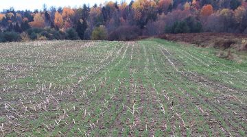 No-till drill seeding by Larry Ward in Thorndike, Maine.