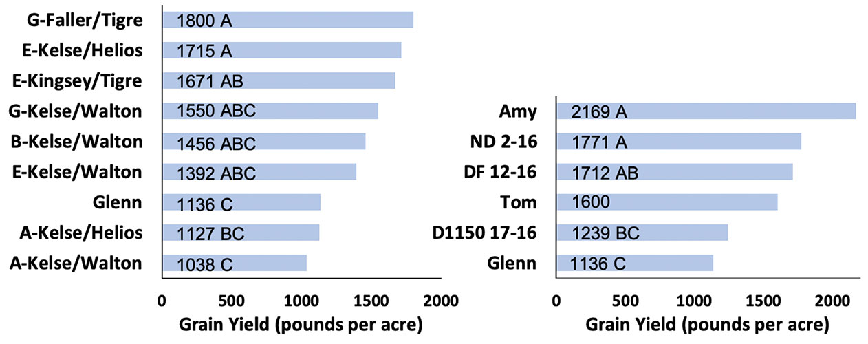 charts showing grain yields
