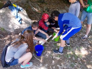 Campers working on a team building project