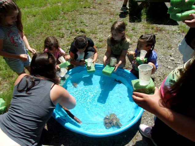 campers gathered around kitty pool floating boats they built