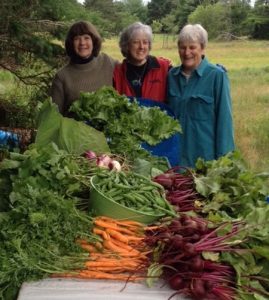 Extension volunteers Susan Stahlberg, Rose Ann Schultz and Mary Beth Dorsey with produce they grew