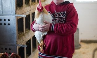 4-H Youth holding laying hen