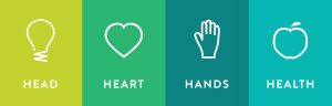 Head Heart Hands Health 4-H Icons