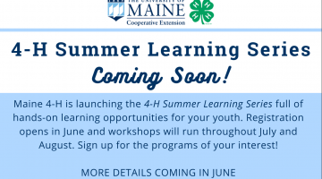 Summer Learning Blurb