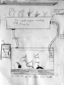 Aquaponics System design by 4-H youth