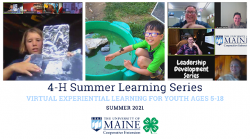 4-H Summer Learning Series: virtual experiential learning for youth ages 5-18