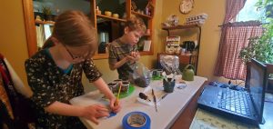 Two children planting and labeling their seeds during a 4-H Summer Learning Series workshop.