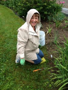 Joyce weeding as a Master Gardener Volunteer