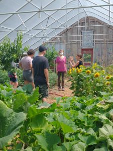 Volunteer Kristin showing 4-H teens around her greenhouse