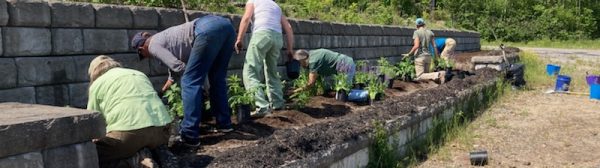 flower beds