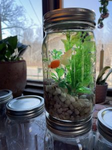 Mason jar with fake fish, fake plants, and gravel to look like an aquarium