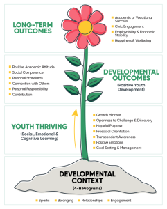 This picture illustrates the process of positive youth development in 4-H programs by showing the connection between high-quality program settings and the promotion of youth thriving.