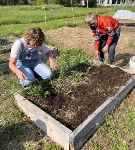 4-H volunteer and a youth weeding a raised garden bed.