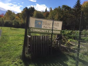 Blue Hill Gardens