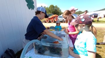 Youth gathered around the 4-H Touch Tank exhibit at the Blue Hill Fair, observing the sea creatures