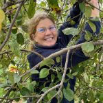 Patty Apple Gleaning