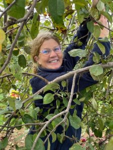Patty Apple Gleaning