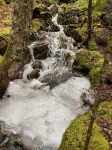 Image of a melting brook, partially iced over