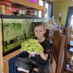 4-H youth member holding aquaponics lettuce