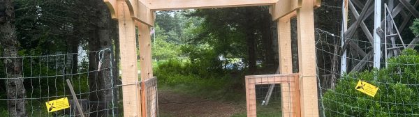 Arbor Entrance at the Brooklin Community Gardens