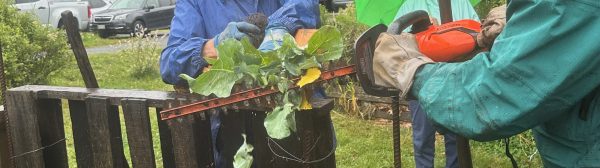 Composting at Sweet Haven Farm