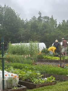 Rainy day at Sweet Haven Gardens