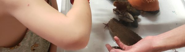 Youth using a magnifying glass to look at a crab being held by a volunteer over the touch tank