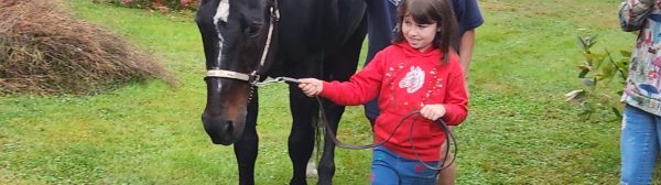 Youth leading a horse with a volunteer following behind, pointing where to turn