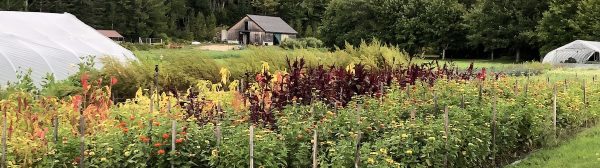 Gardens at Four Season Farm