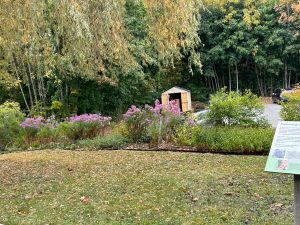 Saint Dunstan's landscape