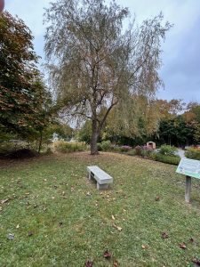 Bench at Saint Dunstan's