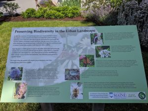 Saint Dunstan's Church Master Gardener Interpretive Sign