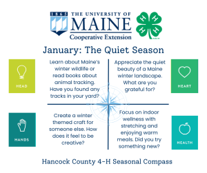 January 4-H ideas of how to engage your head, heart, hands, and health in Maine. Suggestions are animal tracking, enjoying the landscape, making a winter craft, and stretching.