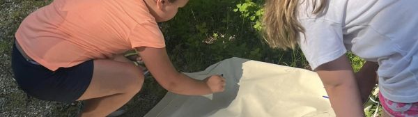 Youth collecting ticks.