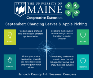 Ideas for enjoying September include visiting an apple orchard, enjoy autumn foliage, pick apples, and enjoying the crisp autumn air.