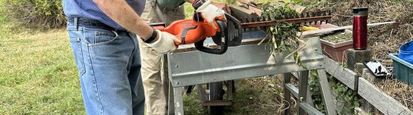 Steve K mgv cutting stalks