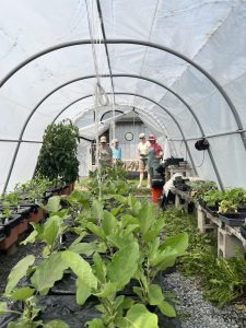 Hoop House at Sweet Haven