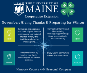 November ideas include reflecting on the past year, connecting with others, preparing for winter, and enjoying warm meals with others. 