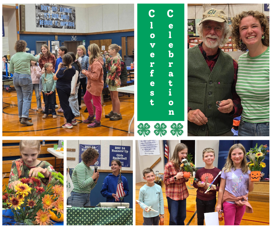 featured image for November 2025 4-H Newsletter