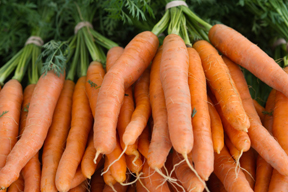 carrots; photo by Edwin Remsberg, USDA
