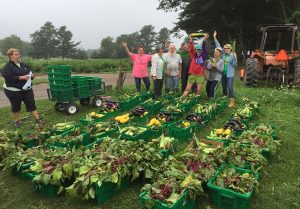 Master Gardener Volunteers with fresh produce gleaned from at Spiller Farm in Wells, Maine.