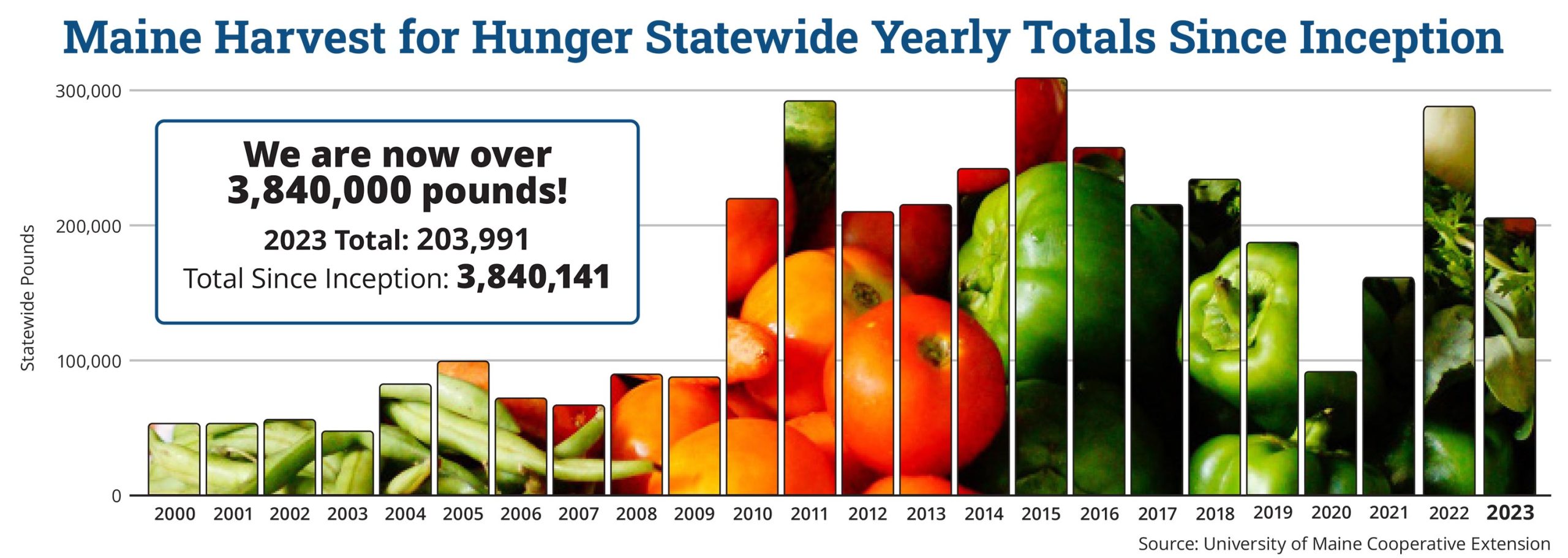 Infographic showing statewide donations in pounds from the year 2000 through 2023, titled “Maine Harvest for Hunger Statewide Yearly Totals Since Inception.” Text within infographic reads “We are now over 3,840,000 pounds! ,” 2023 Total: 203,991, Total Since Inception: 3,840,141.” Follow the link below, “View the Totals,” for year-by-year totals.