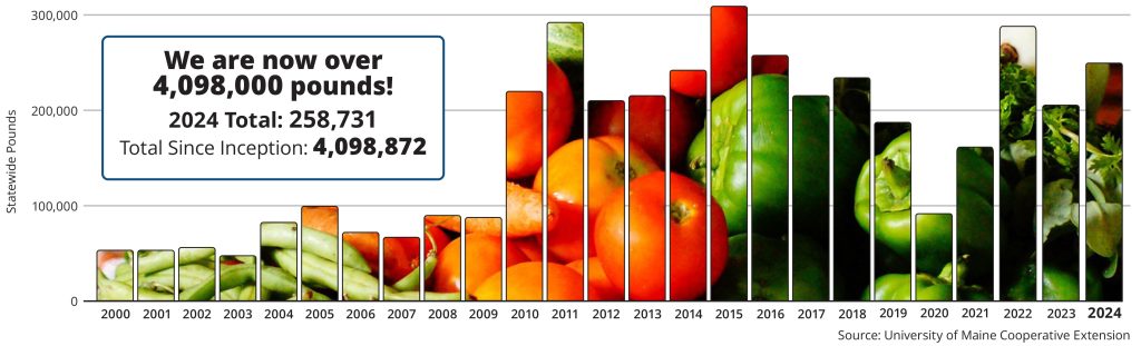 Infographic showing statewide donations in pounds from the year 2000 through 2024, titled “Maine Harvest for Hunger Statewide Yearly Totals Since Inception.” Text within infographic reads “We are now over 4,098,000 pounds! ,” 2024 Total: 258,731, Total Since Inception: 4,098,872.” Follow the link below graphic, “View the Totals,” for year-by-year totals. – UMaine Extension graphic