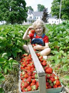 girl with fresh strawberries