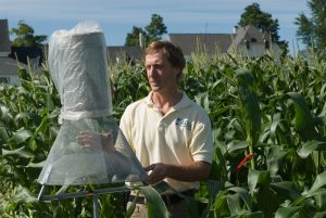 David Handley Checking Harstack Trap for Corn Earworm Moth
