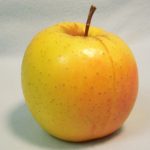 apple, variety Shizuka